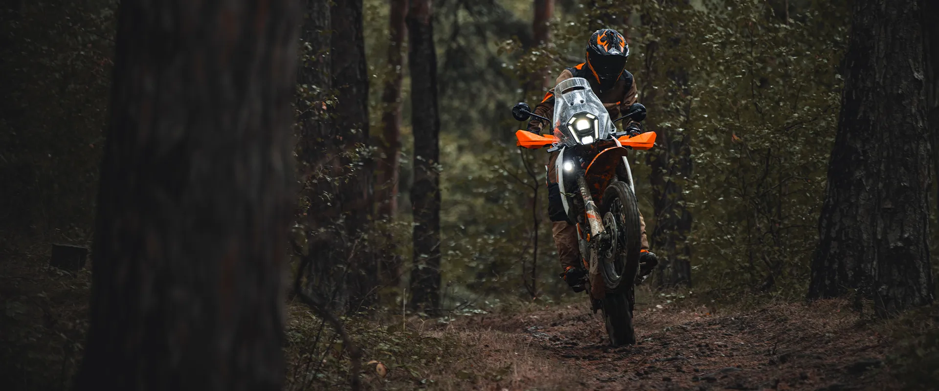 KTM 390 Adventure R, détail technique